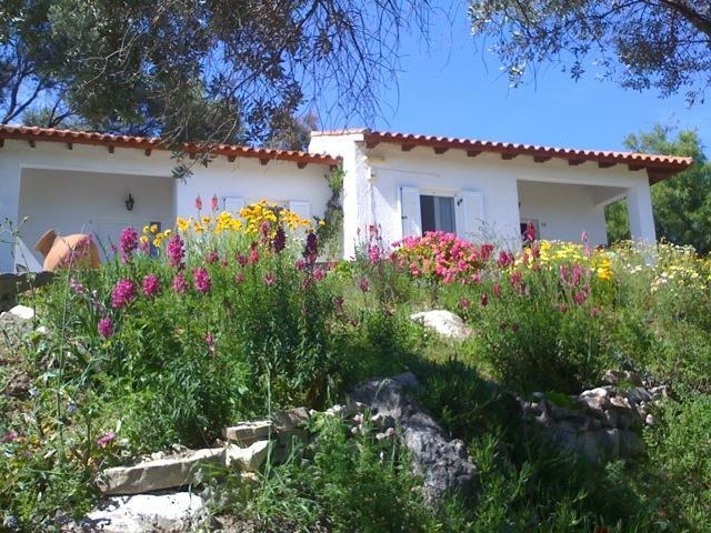 Elena Bungalows Aparthotel Pithagório Szoba fotó